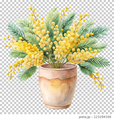pots Mimosa clipart watercolor  123294100