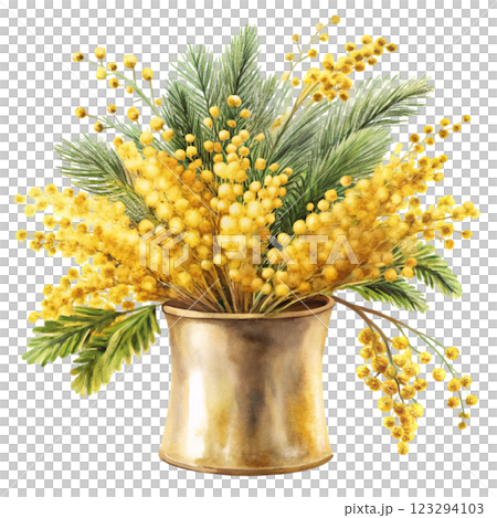 pots Mimosa clipart watercolor  123294103