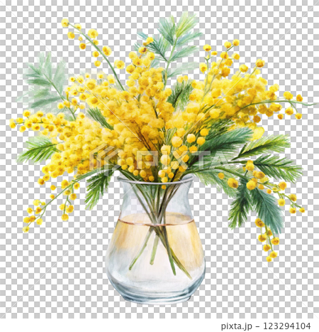 pots Mimosa clipart watercolor  123294104