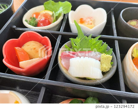 沢山の小鉢に美しく盛り付けされた日本食、和食、松花堂弁当、前菜盛り合わせ 沢山の小鉢に美しく盛り付けされた日本食、和食、松花堂弁当、前菜盛り合わせ 123294172