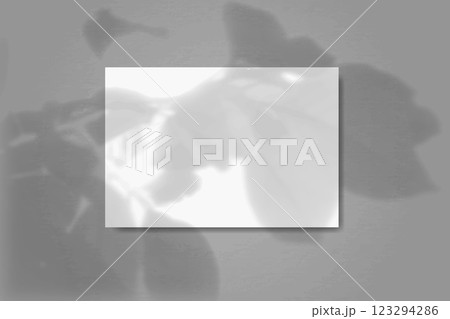 A horizontal rectangular sheet of white paper on the background of a blue wall. Mockup overlay with the plant shadows. 123294286