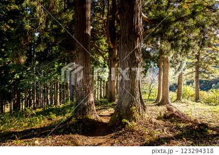 結界～山の神社に近い場所～ 123294318