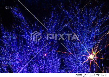 横浜クリスマスイルミネーション・ヨコハマミライト 横浜クリスマスイルミネーション・ヨコハマミライト 123294674