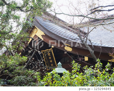 木々に囲まれた社殿|愛宕神社 木々に囲まれた社殿|愛宕神社 123294845