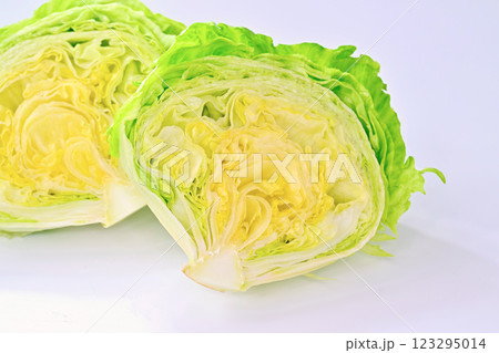 新鮮なレタス。ハーフカットの断面。 123295014