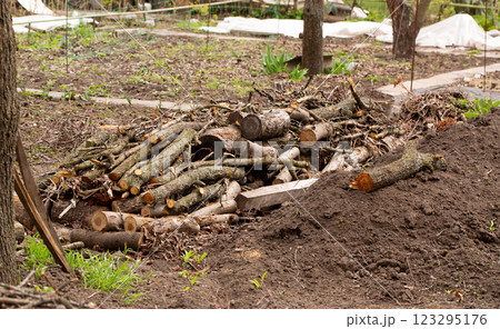 Construction of a warm bed according to permaculture principles with wooden branches Construction of a warm bed according to permaculture principles with wooden branches 123295176