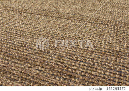 冬の田んぼ 123295372