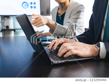 ミーティングするビジネスパーソンのグループ 123295440