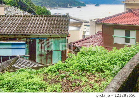 津久見市保戸島の路地 123295650