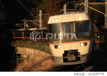 【JR東海】夕方の383系 特急「しなの」（中央本線：落合川〜中津川） 123295770