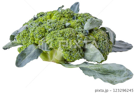 Side view of broccoli cabbage inflorescences of green color with leaves on a white isolated background in a photo studio. Fresh summer vegetable with healthy vitamins recommended by nutritionists. 123296245