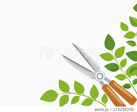 Pruning plant with pruning shears on white background, copy space, home garden theme Pruning plant with pruning shears on white background, copy space, home garden theme 123298350