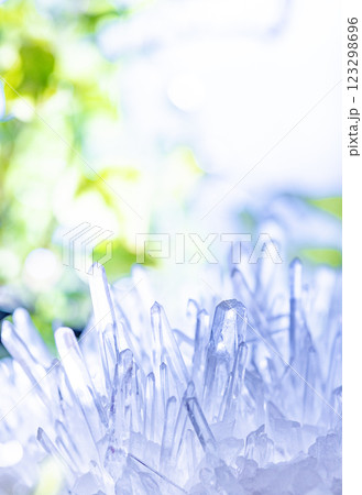 水晶クラスターと観葉植物（縦） 123298696