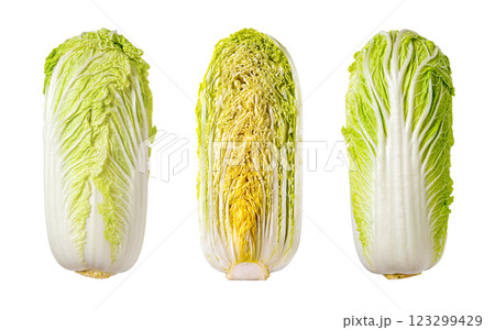 Napa cabbage whole and cut in half isolated on a white background. 123299429