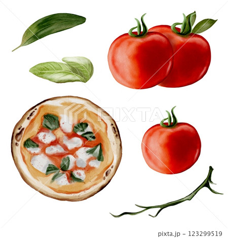Watercolor illustration of classic pizza ingredients on a white background Watercolor illustration of classic pizza ingredients on a white background 123299519
