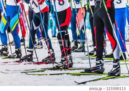 athletes at start line preparing cross-country skiing race athletes at start line preparing cross-country skiing race 123300113