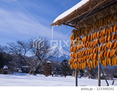 もろこしと富士山 123300202