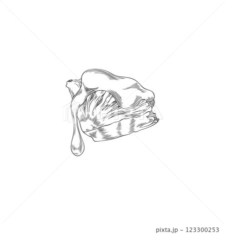 Black and white sketch of juicy pineapple slice in chocolate fondue. Black and white sketch of juicy pineapple slice in chocolate fondue. 123300253