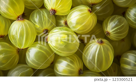 光沢のある黄色いグーズベリーの背景クローズアップ  123300521