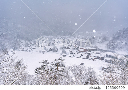 雪降る冬の白川郷 123300609