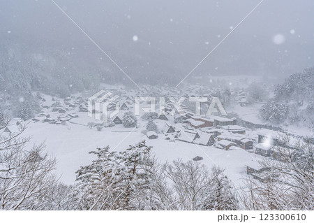 雪降る冬の白川郷 123300610