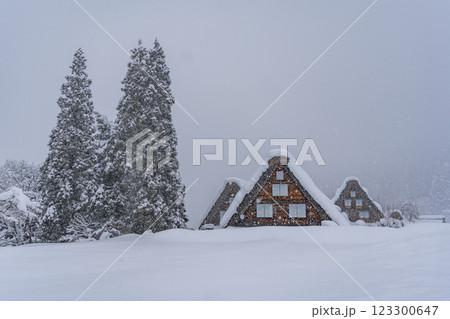 雪降る冬の白川郷　 123300647