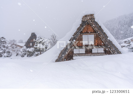 雪降る冬の白川郷　 123300651