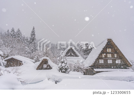 雪降る冬の白川郷 雪降る冬の白川郷 123300655