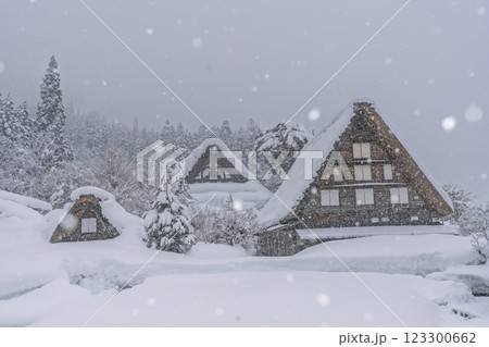 雪降る冬の白川郷　 123300662