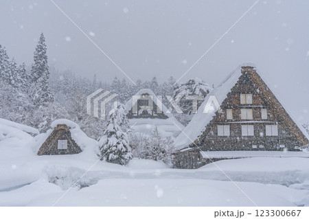 雪降る冬の白川郷　 123300667
