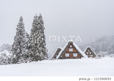 雪降る冬の白川郷　 123300693