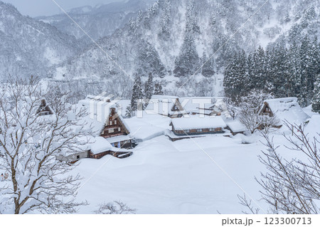 雪降る五箇山 菅沼合掌造り集落 雪降る五箇山 菅沼合掌造り集落 123300713