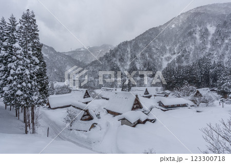 雪降る五箇山 菅沼合掌造り集落　 123300718