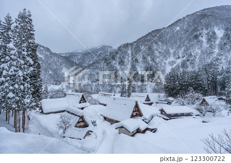 雪降る五箇山 菅沼合掌造り集落 雪降る五箇山 菅沼合掌造り集落 123300722