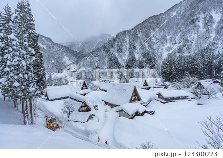 雪降る五箇山 菅沼合掌造り集落　 123300723