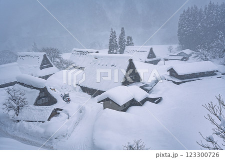 雪降る五箇山 菅沼合掌造り集落 雪降る五箇山 菅沼合掌造り集落 123300726