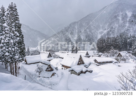 雪降る五箇山 菅沼合掌造り集落　 123300728