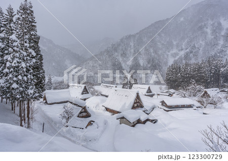雪降る五箇山 菅沼合掌造り集落 雪降る五箇山 菅沼合掌造り集落 123300729