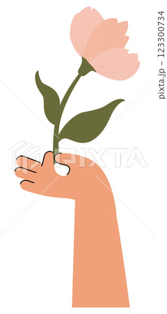 Arm holding pink tulip for lovely one. Tulip flower present or surprise for International Women's Day 123300734