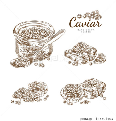 Outline sketch set of illustrations with caviar in a jar, tartlet, sandwich and spoon. 123301403