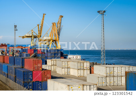 Cargo containers stacked on berth of sea port on sunny day. Maritime logistics, transportation, commercial seaport, global trade, shipping containers in various colors, cargo handling equipment, clear 123301542