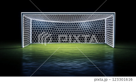 夜のグラウンドとサッカーゴール	 123301616