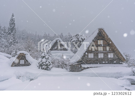 雪降る冬の白川郷 雪降る冬の白川郷 123302612