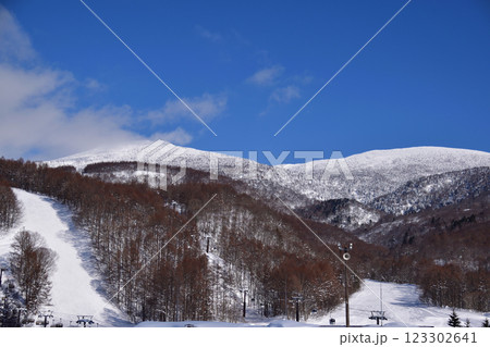 グランデコスキー場 グランデコスキー場 123302641