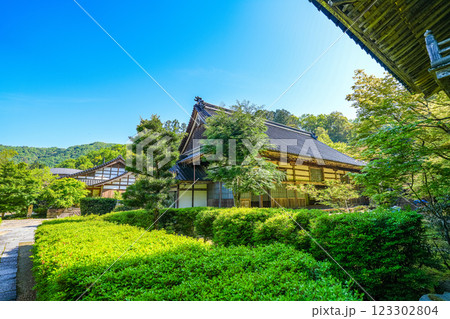 出石　初夏の沢庵寺宗鏡寺の境内2　兵庫県豊岡市 123302804