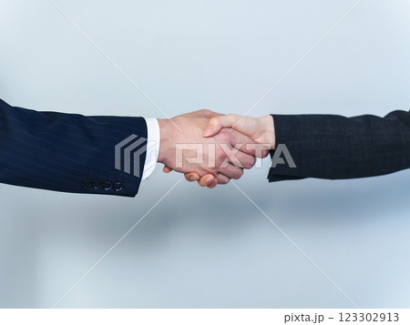 握手する男女ビジネスパーソン 123302913