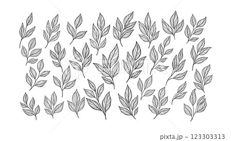 Spring leaf branch linear doodle art illustration Spring leaf branch linear doodle art illustration 123303313