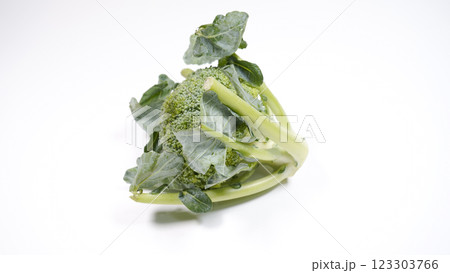 新鮮なブロッコリー 新鮮なブロッコリー 123303766