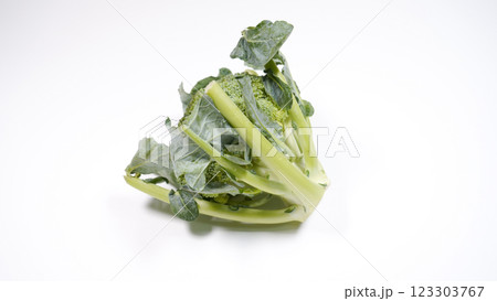 新鮮なブロッコリー 新鮮なブロッコリー 123303767