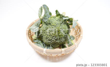 ブロッコリー 123303801